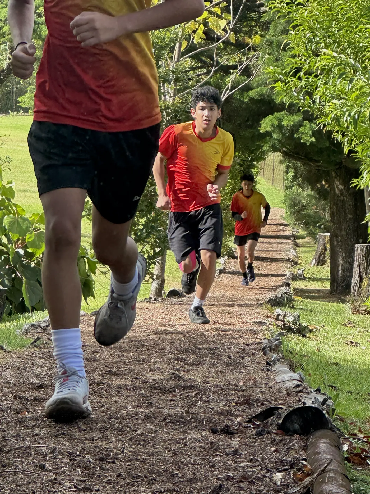 Entrenamiento en las montañas de Barva